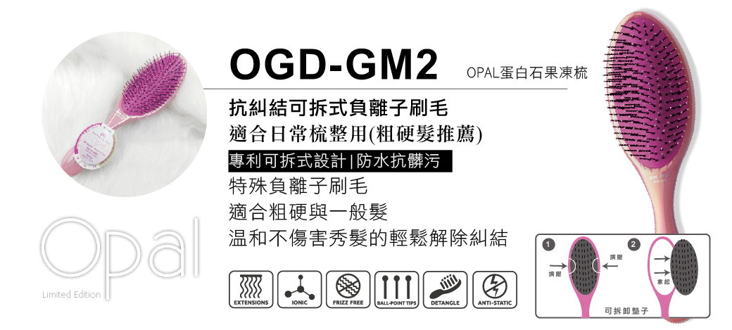 OGD-GM2